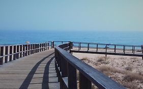 Oasis Lighthouse